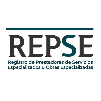 Imagen del certificado repse
